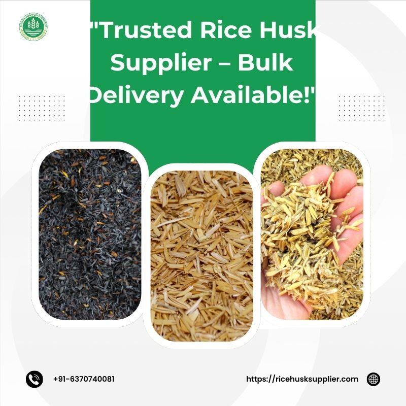 Trusted Rice Husk Supplier – Bulk Delivery Available!&quot;